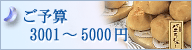 ���\�Z3001�`5000�~