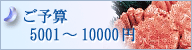 ���\�Z5001�`10000�~