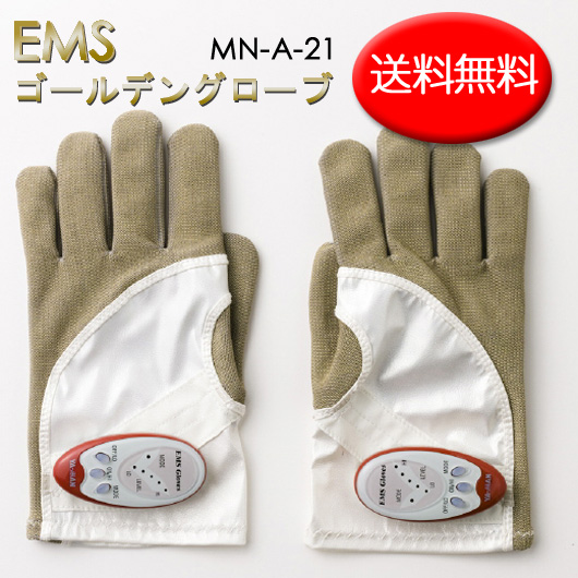 EMS �S�[���f���O���[�u MN-A-21 ��������
