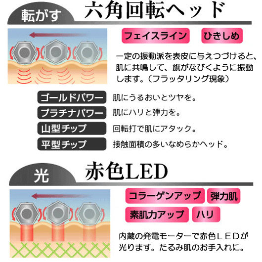 ���[�}�� �v���`�i���[���[�G�R NHDS-10 �摜2