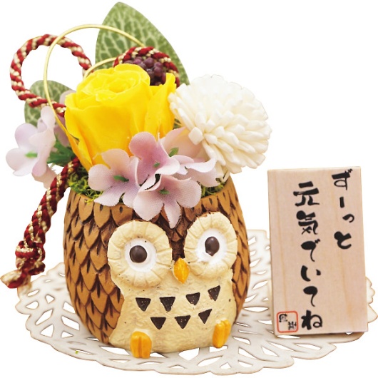 �������낤�i�v���U�[�u�h�t�����[�j �C�G���[ 23CH4YW �摜1