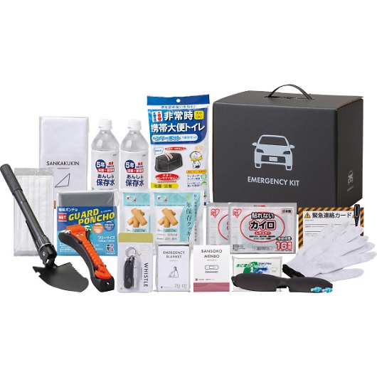 �ԍڗp�h��21�_�Z�b�g 10-1000E �摜1