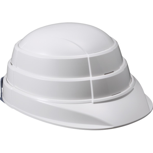 ���k���w�����b�g�i�I�T���b�g�j �z���C�g �摜1