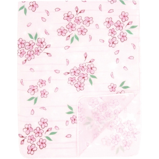 ���낿�� ���ʃK�[�[�Ăʂ��� ���� 42412401 �摜1