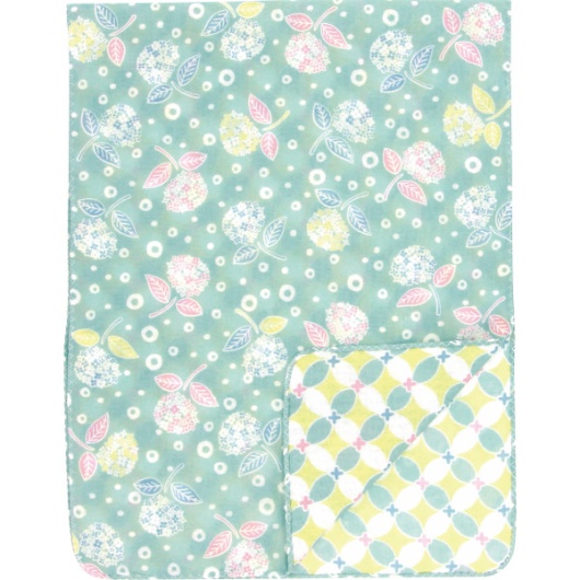 ���낿�� ���ʃK�[�[�Ăʂ��� ���z�ԂƂ݂Ȃ� 42412404 �摜1