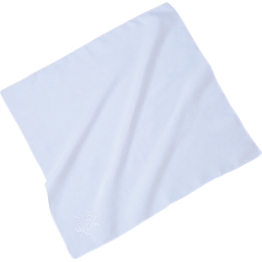GNEm[u wltH[}hJnJ` zCg PTE-303 WH 摜1