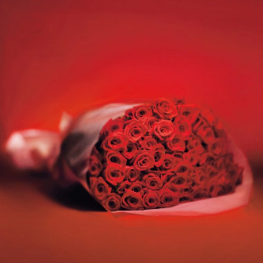 �o���̉ԑ� 21�{����100�{�܂ł̂��\������ ���b�h 19RD21-100 �摜1