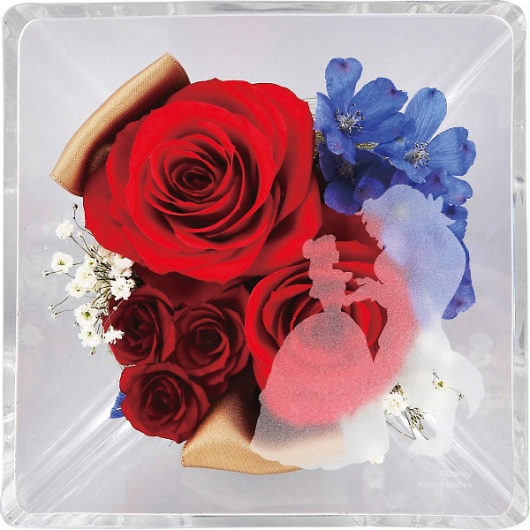 �G�e���l���t���[�� �f�B�Y�j�[�v�����Z�X�i�����Ɩ�b�j 2022DO-002SH �摜1