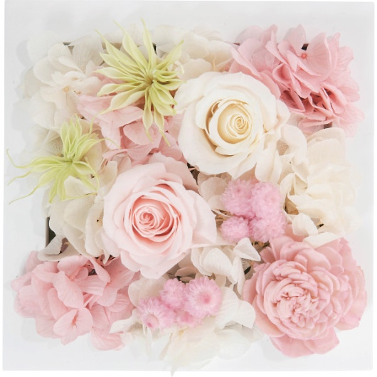 �v���U�[�u�h�E�H�[���t�����[�i�X�N�G�A�j �s���N ncr-wallpri02-pi �摜1