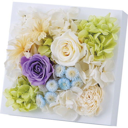 �v���U�[�u�h�E�H�[���t�����[�i�X�N�G�A�j �p�[�v�� ncr-wallpri02-pu �摜1