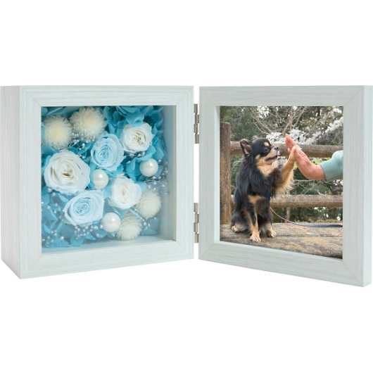 �v���U�[�u�h�t�����[ �J�h���E�t���[���� ncr-26-pr-frame �摜1