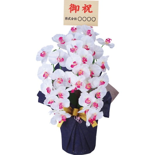 �A�[�e�B�t�B�V�����t�����[���3�{���Ӓ����i���D�t�^��������j �z���C�g�r���[�e�B�[ ncr-24019-3-wb-fd �摜1