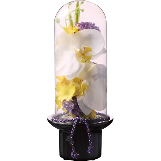 �v���} �K���X�h�[���̋��� �Ӓ����i���ԁj PRSY-0132 �摜1