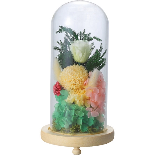 �������K���X�h�[���A�����W�����g �H�� C20030L �摜1