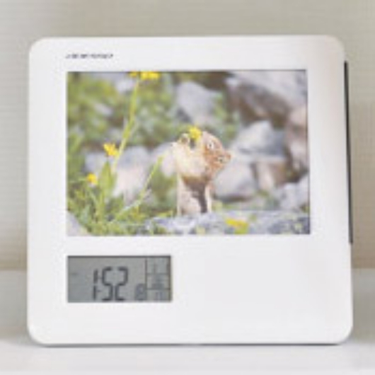 �A�f�b�\ �t�H�g�t���[���d�g���v 8785 �摜1