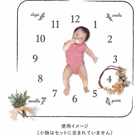 �G�u���f�C�A�j�o�[�T���[ �I�[�K�j�b�N�R�b�g���^�I�� 42050 �摜2