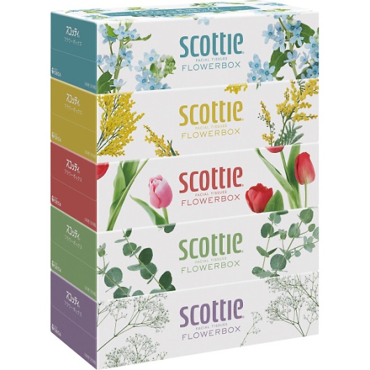 �X�R�b�e�B �e�B�V���[ �t�����[�{�b�N�X 250�g�i5���p�b�N�j 41365 �摜1