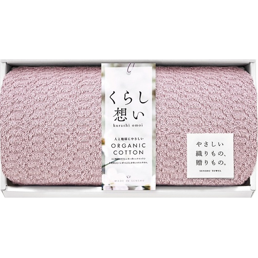 炵z I[KjbNRbgXoX^I sNp[v KRS70150-PI 摜1