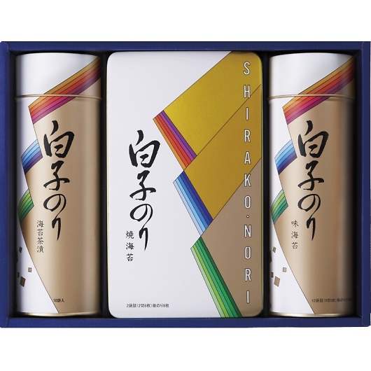 q̂ CہEЂl SA-300 摜1