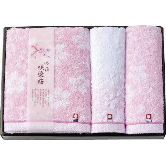 ^I  ^IZbg SZ-4001 摜1