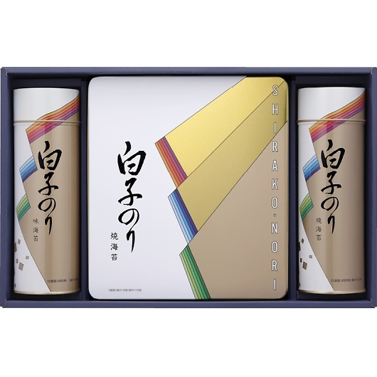 q̂ Cۋl SA-500 摜1