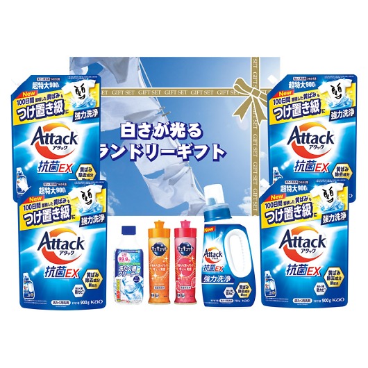 ���������郉���h���[�M�t�g AX-80C �摜1