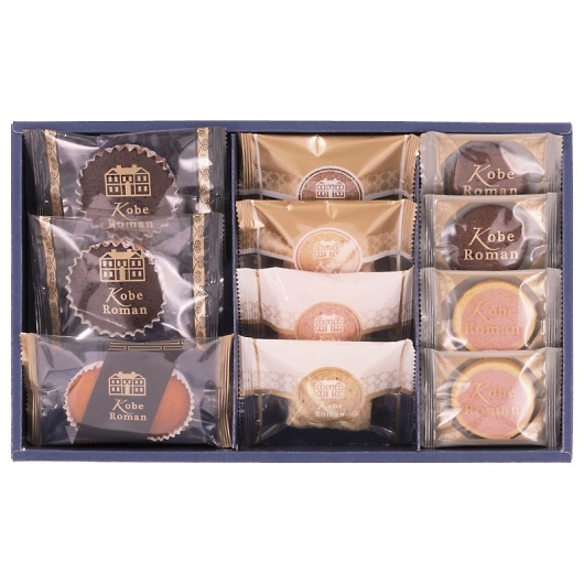 _˘Q Kg[ZNV GS-10 摜1