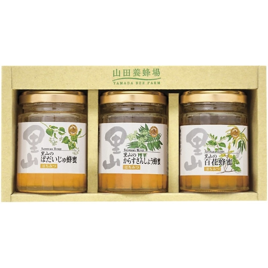 Rc{I YI3{Zbg S3-BHK 摜1