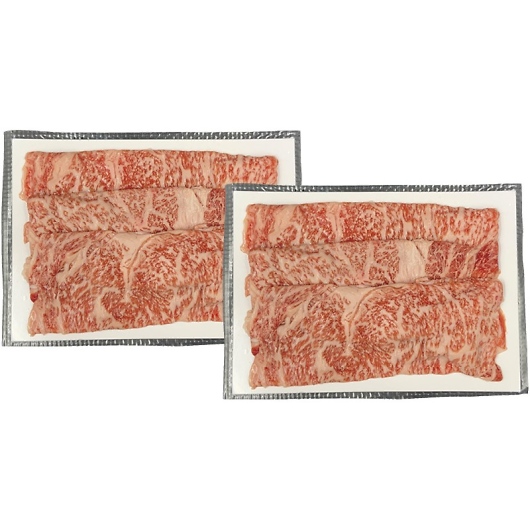 _˃r[tĂ([Xj 9133102 摜1