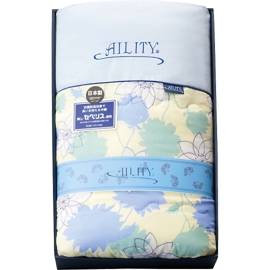 AILITY RۖhL킽iZxXj |ӂƂ u[ A2380B 摜1