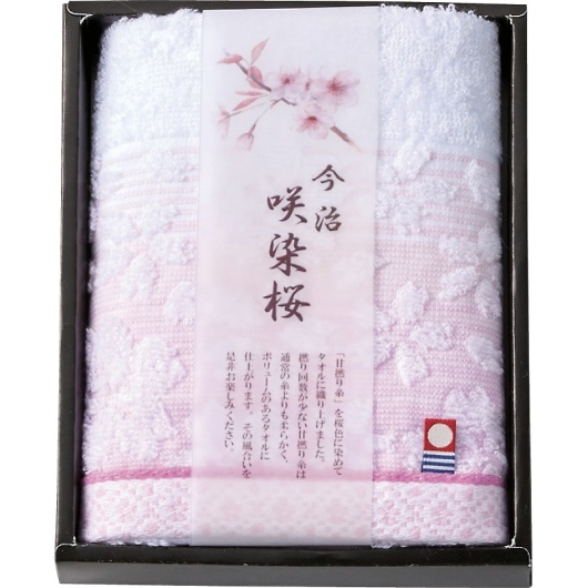 ^I  tFCX^I SZ-1001 摜1