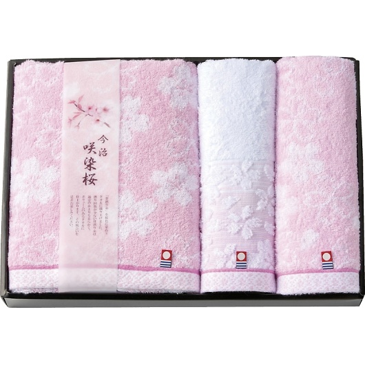 ^I  ^IZbg SZ-4001 摜1