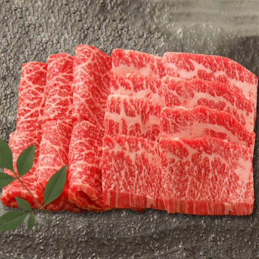 ߍ]u쉮v ݏē 1950042 摜1