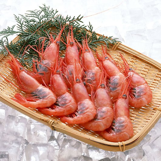 RY 䌧Y DⓀÂ YS-534 摜2