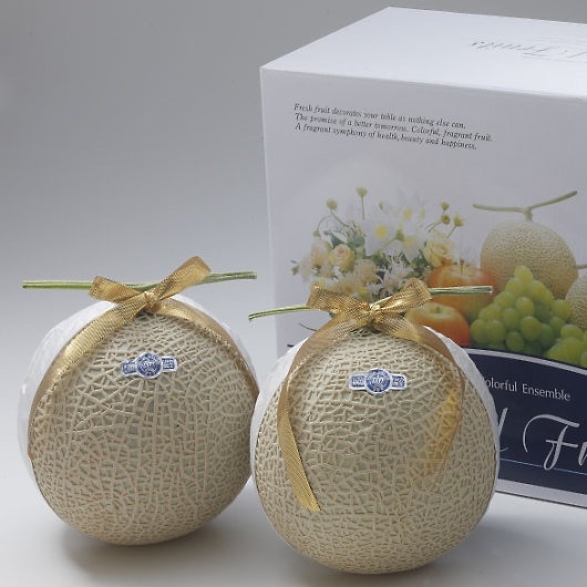 ÉY}XNi2ʁj YO-1303 摜1