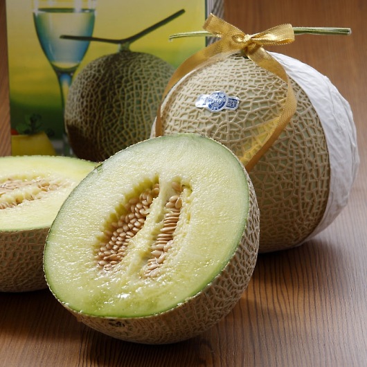 ÉY}XNi2ʁj YO-1303 摜2