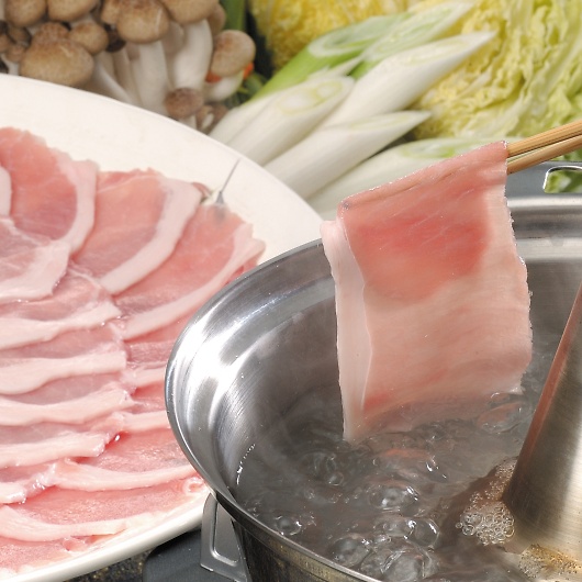 XiRjn Y|[NԂ LV-G-B030-1 摜2