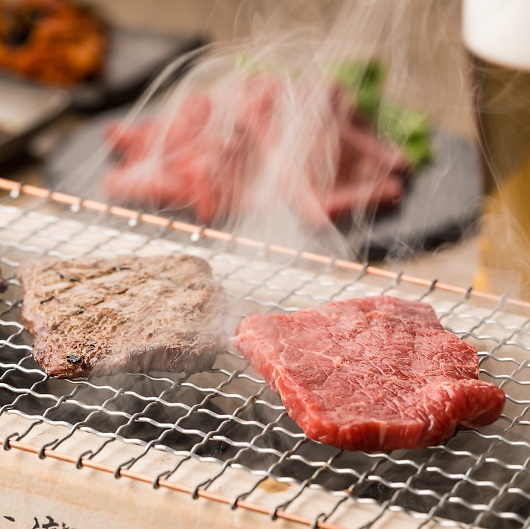 XiRjn Yјaē LH-W-Y040-1A 摜2