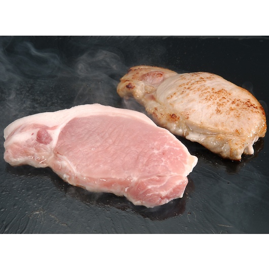 XiRjn Y|[N[XXe[L LV-G-TR09-1 摜2