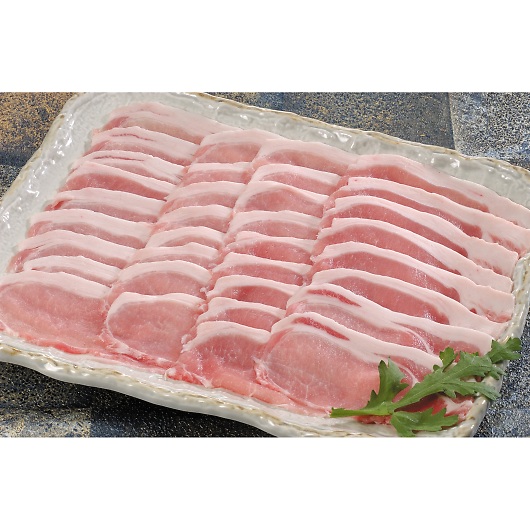 XiRjn Y|[NԂ LV-G-B090-1 摜1