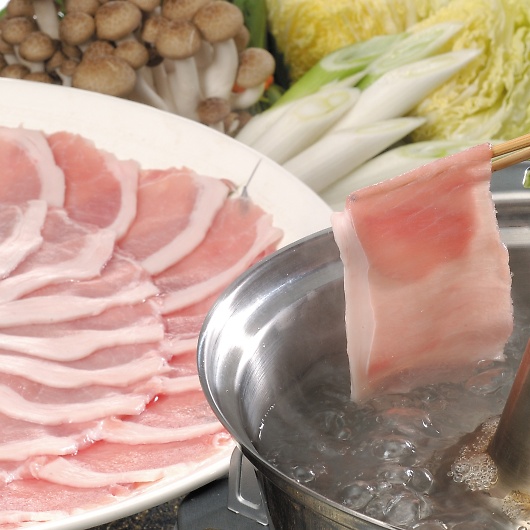 XiRjn Y|[NԂ LV-G-B090-1 摜2