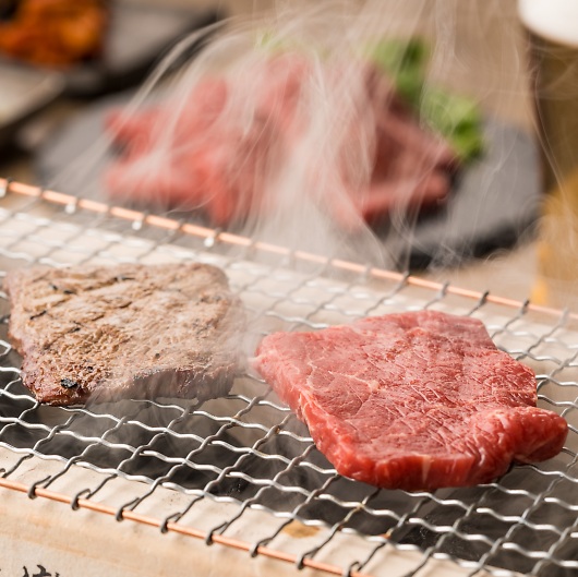 XiRjn Yјaē LH-W-Y050-1B 摜2