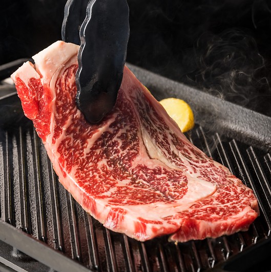 XiRjn Yјa[XXe[L LH-W-TR03-3 摜2