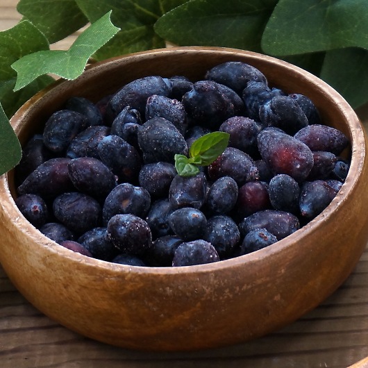 kCY ⓀnXJbv 420004 摜3