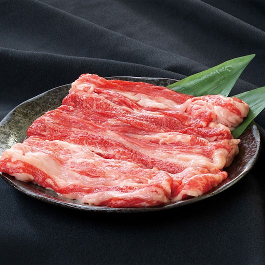 �v���[���[�h�b�O �t�@�[�� �_�ˋ� �o���X���C�X PFN-004 �摜2