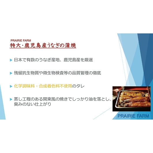 �v���[���[�h�b�O �t�@�[�� ���� ���������Y���Ȃ����ăZ�b�g�i�i�J�����z�����t�j PFU-022A �摜3