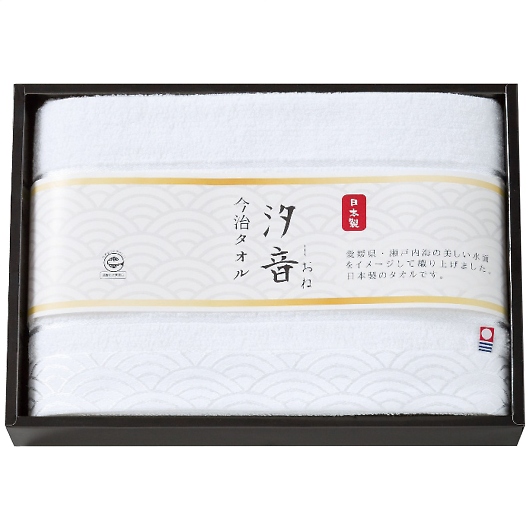 ���� ���Y���E�����F�o�X�^�I�� IMN-300N �摜1