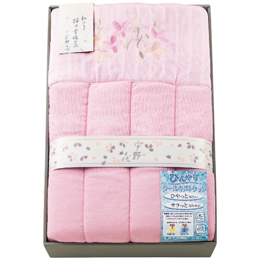 F ЂLgPbg UCCQ-600 摜1