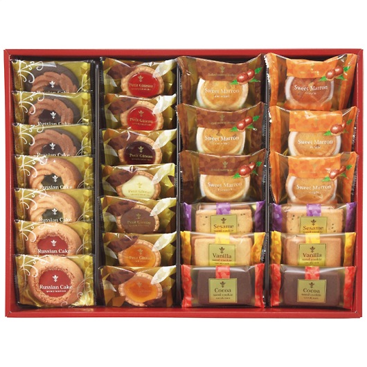 NAKAYAMA JtFX}CZbg26 CSS-30 摜1