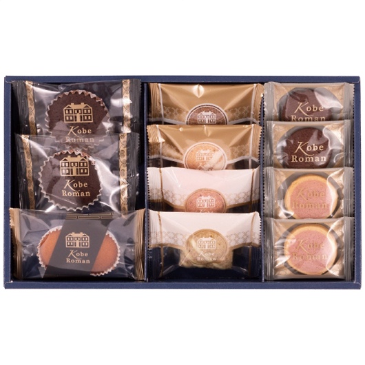 _˘Q Kg[ZNV GS-10 摜1